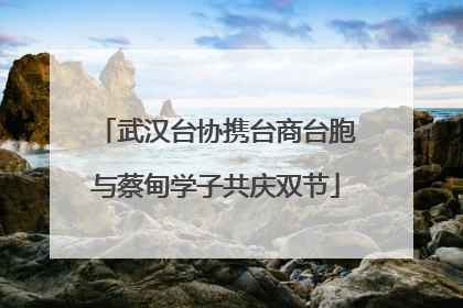 武汉台协携台商台胞与蔡甸学子共庆双节