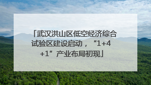 武汉洪山区低空经济综合试验区建设启动，“1+4+1”产业布局初现