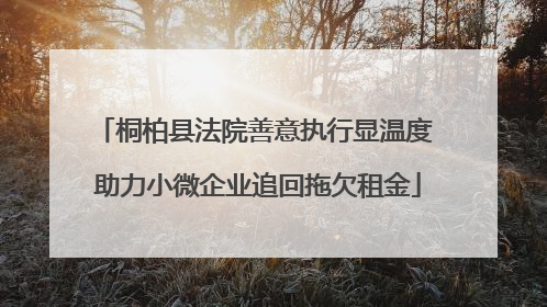 桐柏县法院善意执行显温度 助力小微企业追回拖欠租金