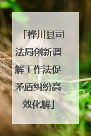 桦川县司法局创新调解工作法促矛盾纠纷高效化解