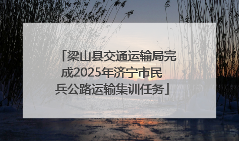 梁山县交通运输局完成2025年济宁市民兵公路运输集训任务