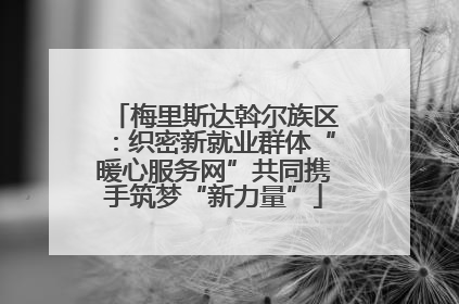 梅里斯达斡尔族区：织密新就业群体“暖心服务网”共同携手筑梦“新力量”
