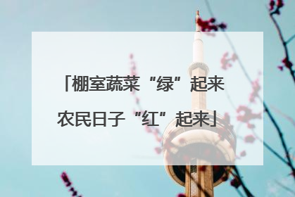 棚室蔬菜“绿”起来 农民日子“红”起来