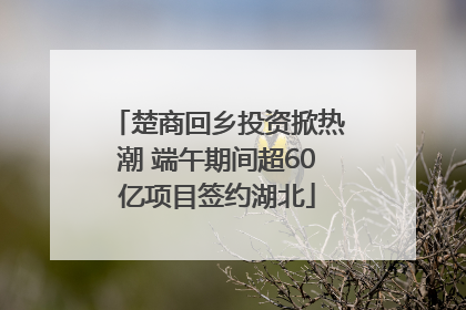 楚商回乡投资掀热潮 端午期间超60亿项目签约湖北