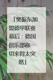 樊振东加盟德甲联赛幕后：德国俱乐部称一切来得太突然