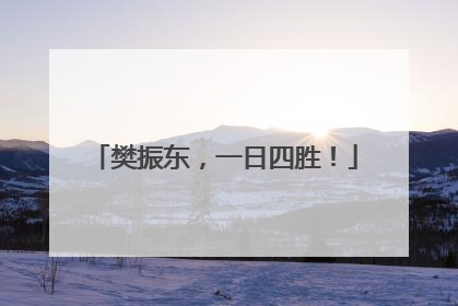 樊振东，一日四胜！
