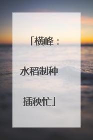 横峰：水稻制种插秧忙