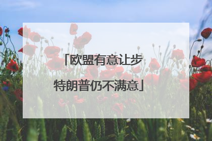 欧盟有意让步 特朗普仍不满意