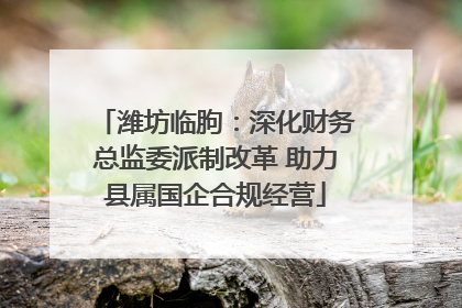 潍坊临朐：深化财务总监委派制改革 助力县属国企合规经营