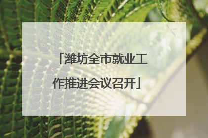 潍坊全市就业工作推进会议召开