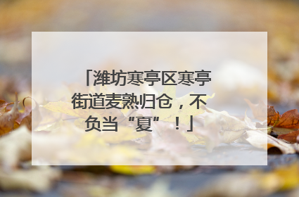 潍坊寒亭区寒亭街道麦熟归仓，不负当“夏”！