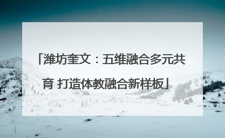 潍坊奎文：五维融合多元共育 打造体教融合新样板