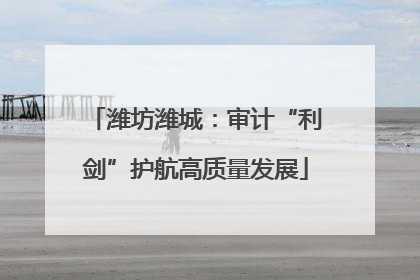 潍坊潍城：审计“利剑”护航高质量发展