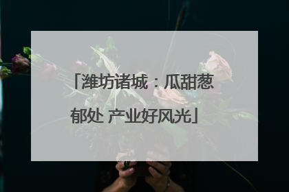 潍坊诸城：瓜甜葱郁处 产业好风光