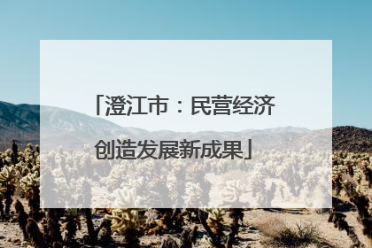 澄江市：民营经济创造发展新成果