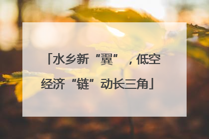 水乡新“翼”，低空经济“链”动长三角