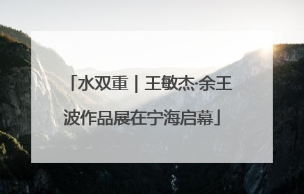 水双重｜王敏杰·余王波作品展在宁海启幕