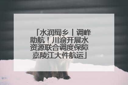 水润蜀乡丨调峰助航！川渝开展水资源联合调度保障嘉陵江大件航运