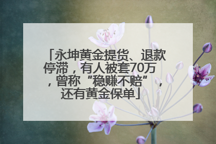 永坤黄金提货、退款停滞，有人被套70万，曾称“稳赚不赔”，还有黄金保单