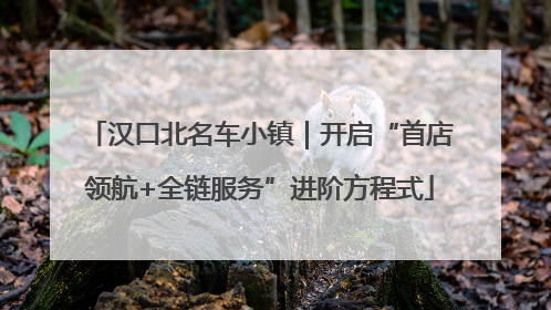 汉口北名车小镇｜开启“首店领航+全链服务”进阶方程式