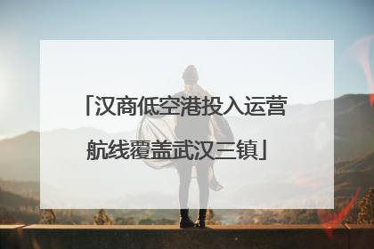 汉商低空港投入运营 航线覆盖武汉三镇