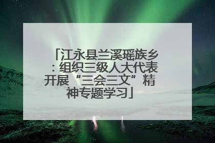 江永县兰溪瑶族乡：组织三级人大代表开展“三会三文”精神专题学习