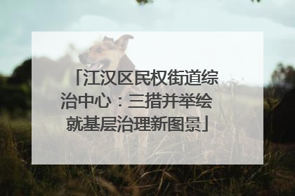 江汉区民权街道综治中心：三措并举绘就基层治理新图景