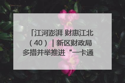 江河澎湃 财惠江北（40）｜新区财政局多措并举推进“一卡通”管理 保障惠民惠农补贴精准高效发放