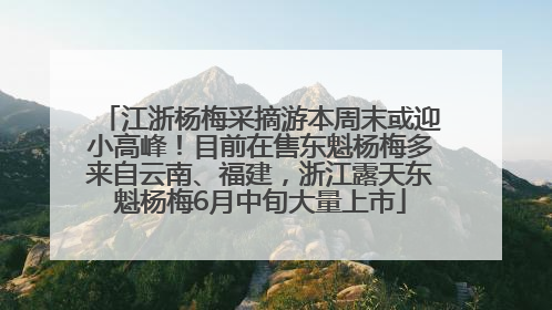 江浙杨梅采摘游本周末或迎小高峰！目前在售东魁杨梅多来自云南、福建，浙江露天东魁杨梅6月中旬大量上市