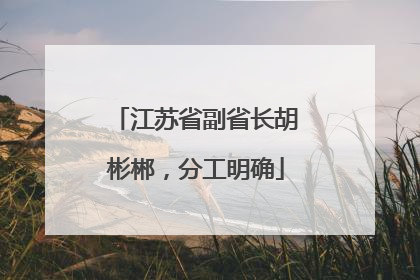 江苏省副省长胡彬郴，分工明确
