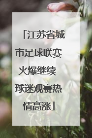 江苏省城市足球联赛火爆继续 球迷观赛热情高涨