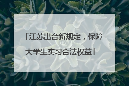 江苏出台新规定，保障大学生实习合法权益