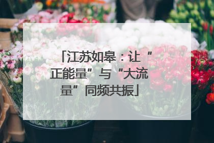 江苏如皋：让“正能量”与“大流量”同频共振
