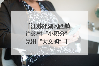江苏建湖冈西镇肖荡村“小积分”兑出“大文明”