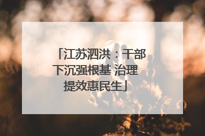 江苏泗洪：干部下沉强根基 治理提效惠民生