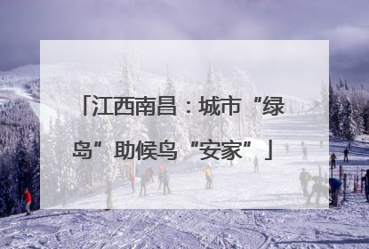江西南昌：城市“绿岛”助候鸟“安家”