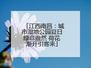 江西南昌：城市湿地公园夏日绿意盎然 荷花渐开引客来