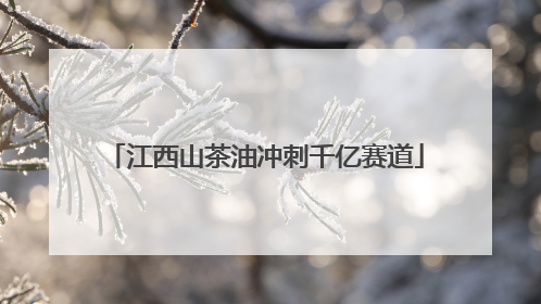 江西山茶油冲刺千亿赛道