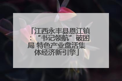 江西永丰县恩江镇：“书记领航”破困局 特色产业盘活集体经济新引擎
