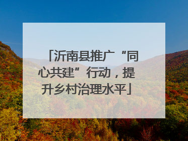 沂南县推广“同心共建”行动，提升乡村治理水平