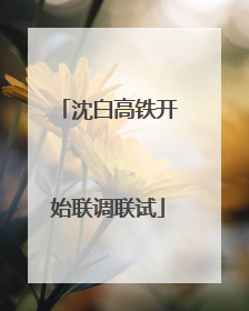 沈白高铁开始联调联试
