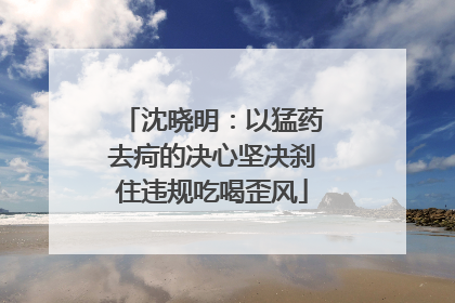 沈晓明：以猛药去疴的决心坚决刹住违规吃喝歪风