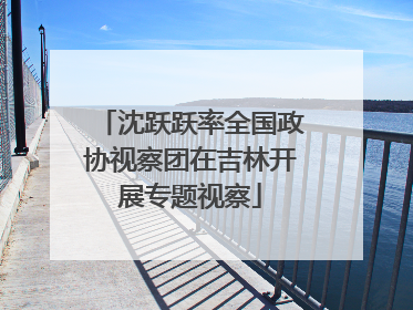 沈跃跃率全国政协视察团在吉林开展专题视察