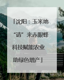 沈阳：玉米地“请”来赤眼蜂 科技赋能农业助绿色增产