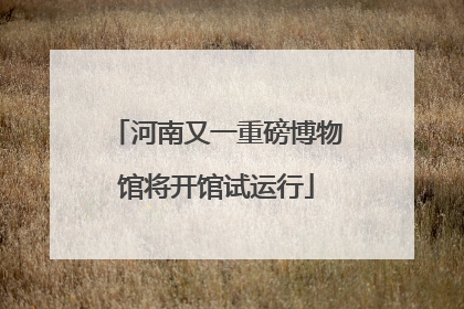 河南又一重磅博物馆将开馆试运行
