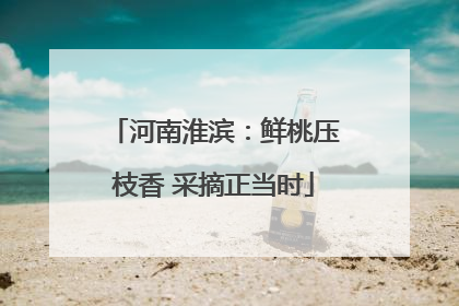 河南淮滨：鲜桃压枝香 采摘正当时