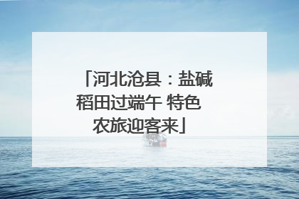 河北沧县：盐碱稻田过端午 特色农旅迎客来