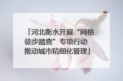 河北衡水开展“网格徒步踏查”专项行动 推动城市精细化管理
