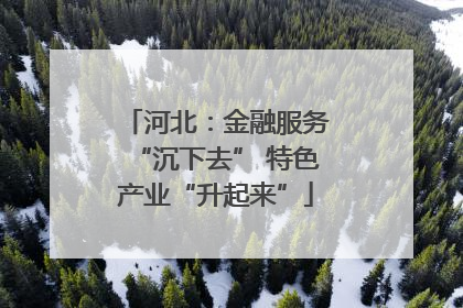 河北：金融服务“沉下去” 特色产业“升起来”