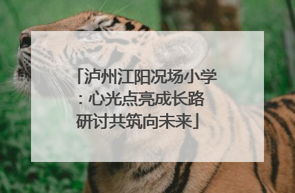泸州江阳况场小学：心光点亮成长路 研讨共筑向未来